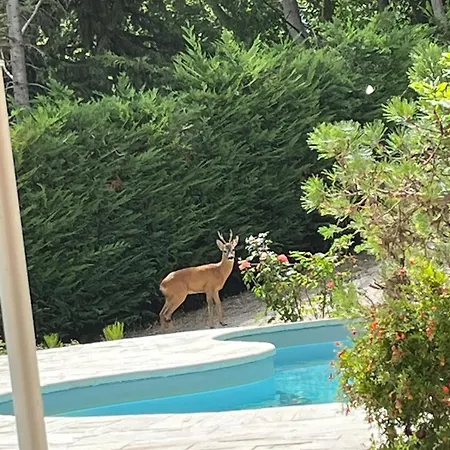 Santa Maria فيلة Montegiorgio